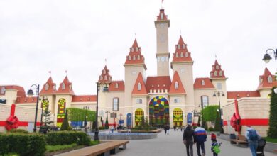 Изображение развлекательного парка «Остров Мечты», напоминающего небольшое княжество.