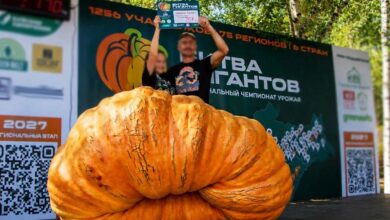 12-летний агроном с 800-килограммовым овощем в Сибири
