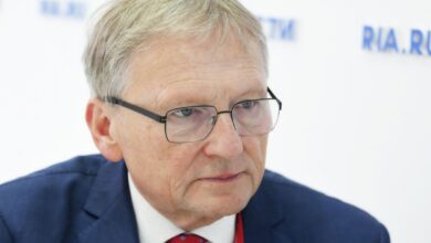Культурный обмен между Россией и Китаем: пельмени и чайные драконы