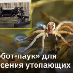 Четырехлапый спасатель в виде железного водомера на фоне моря