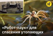 Четырехлапый спасатель в виде железного водомера на фоне моря