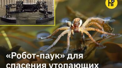 Четырехлапый спасатель в виде железного водомера на фоне моря