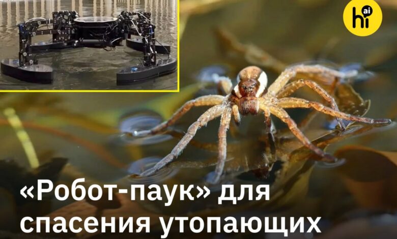 Четырехлапый спасатель в виде железного водомера на фоне моря