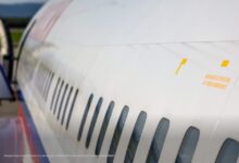 Ил-114-300 в небе над Гималаями с индийскими слонами внизу