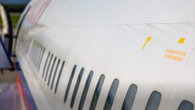 Ил-114-300 в небе над Гималаями с индийскими слонами внизу