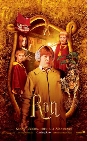 Harry Potter and the Chamber of Secrets