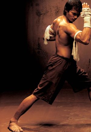 Ong-bak