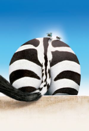 Racing Stripes