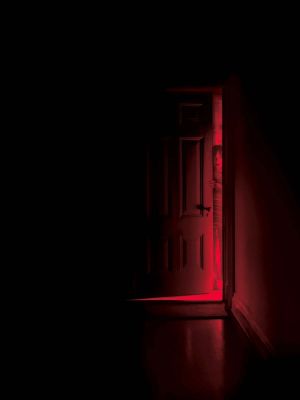 Hide and Seek