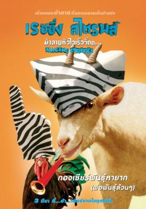 Racing Stripes