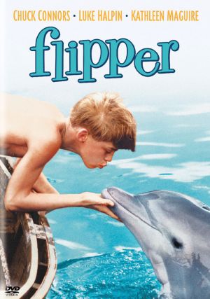 Flipper