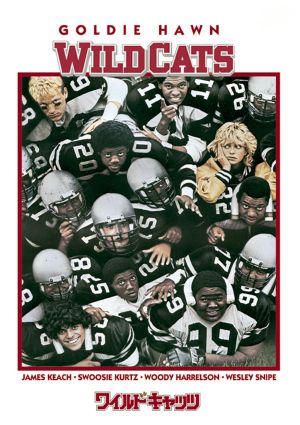 Wildcats