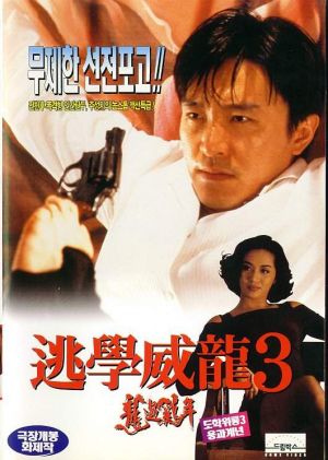 To hok wai lung III: Lung gwoh gai nin