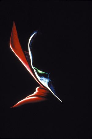 Spawn
