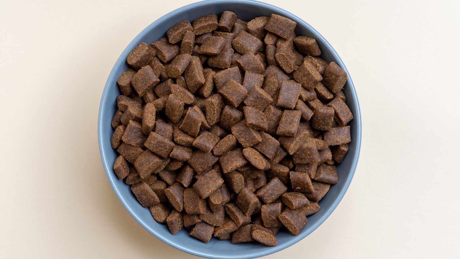 Ciotola con crocchette per spiegare l'etichetta del cibo per cani e gatti