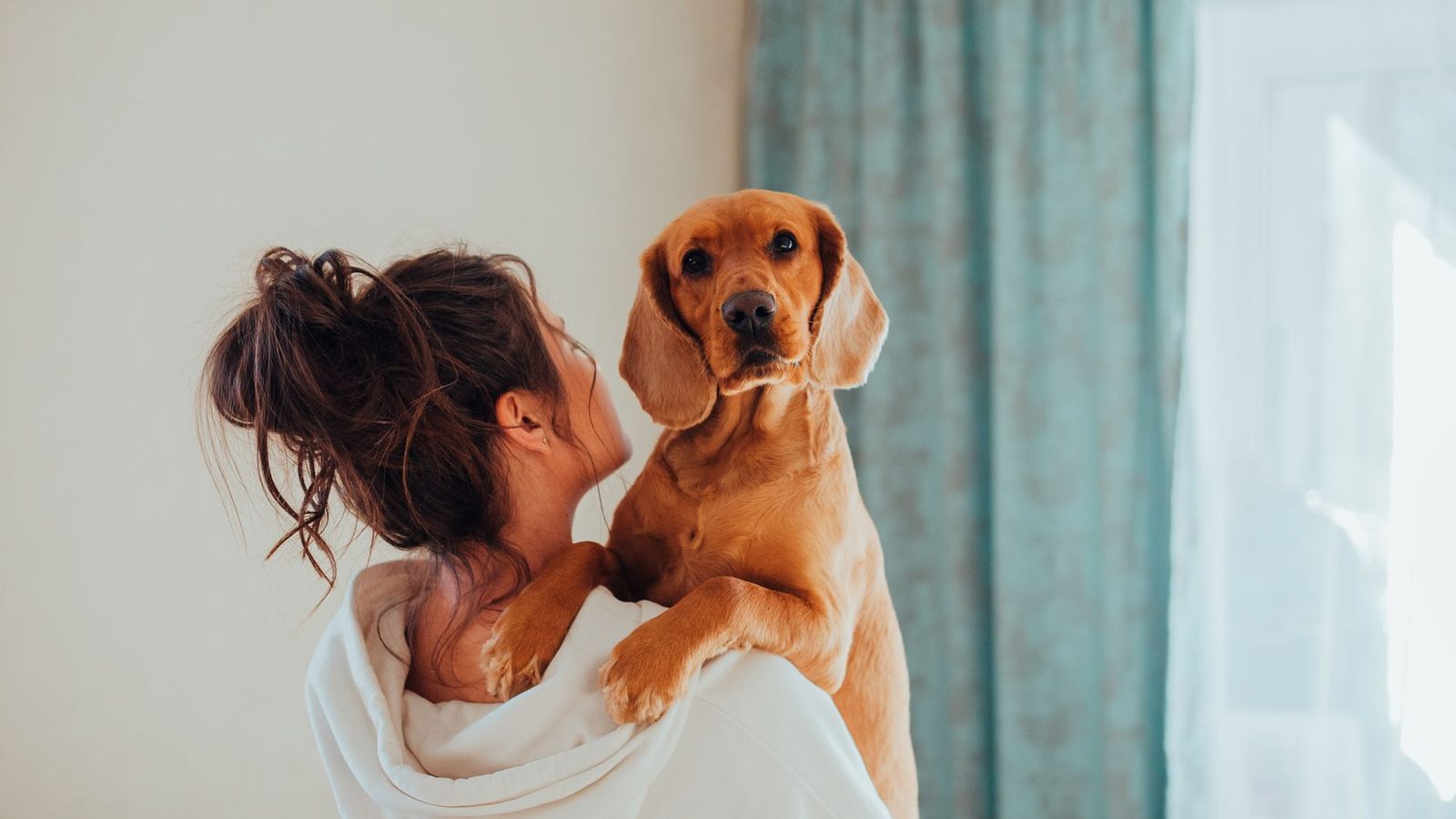 Cane accolto e tenuto in braccio dalla nuova proprietaria in casa