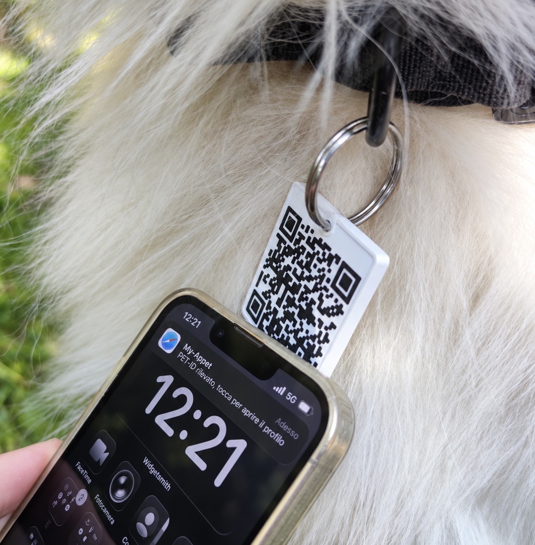 Medaglietta My-Appet con QR code indossata da un cane