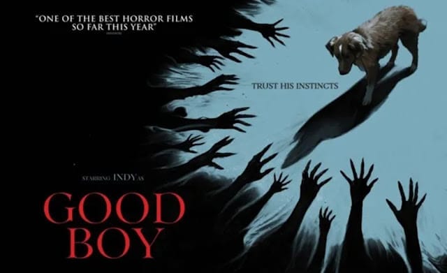 Good20boy20feature