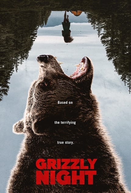 Grizzly night 2764x4096 017 v1 thumb 430xauto