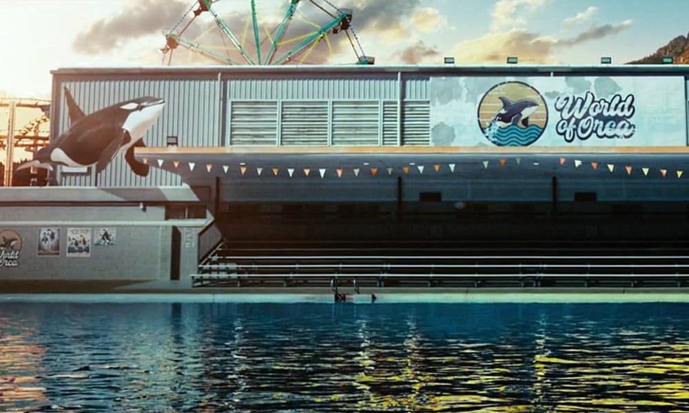 Killer whale review world of orca
