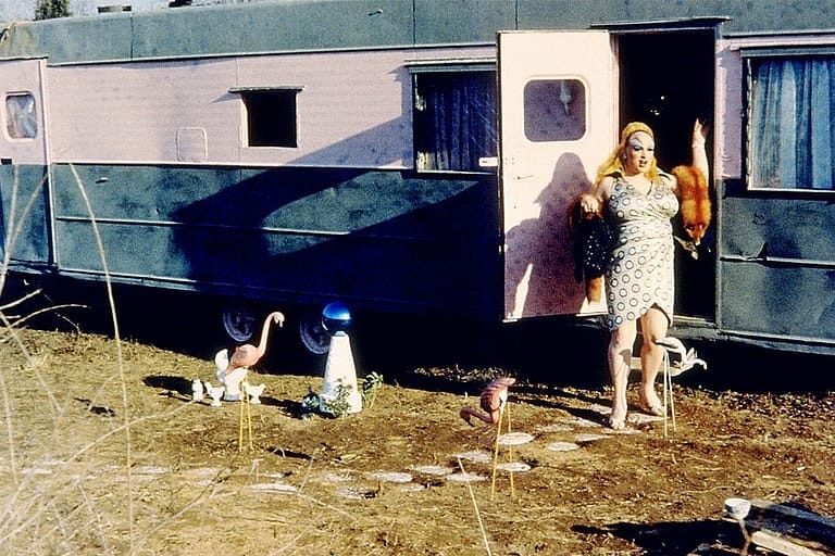 Pink flamingos ct1qcv