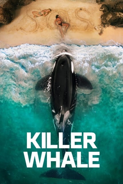 Sa killerwhale 430 thumb 430xauto