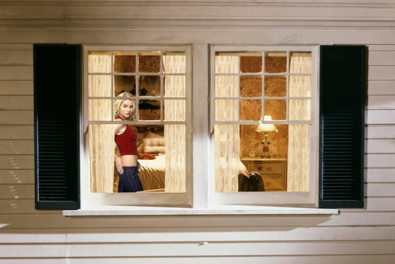 The girl next door 46ad34c1