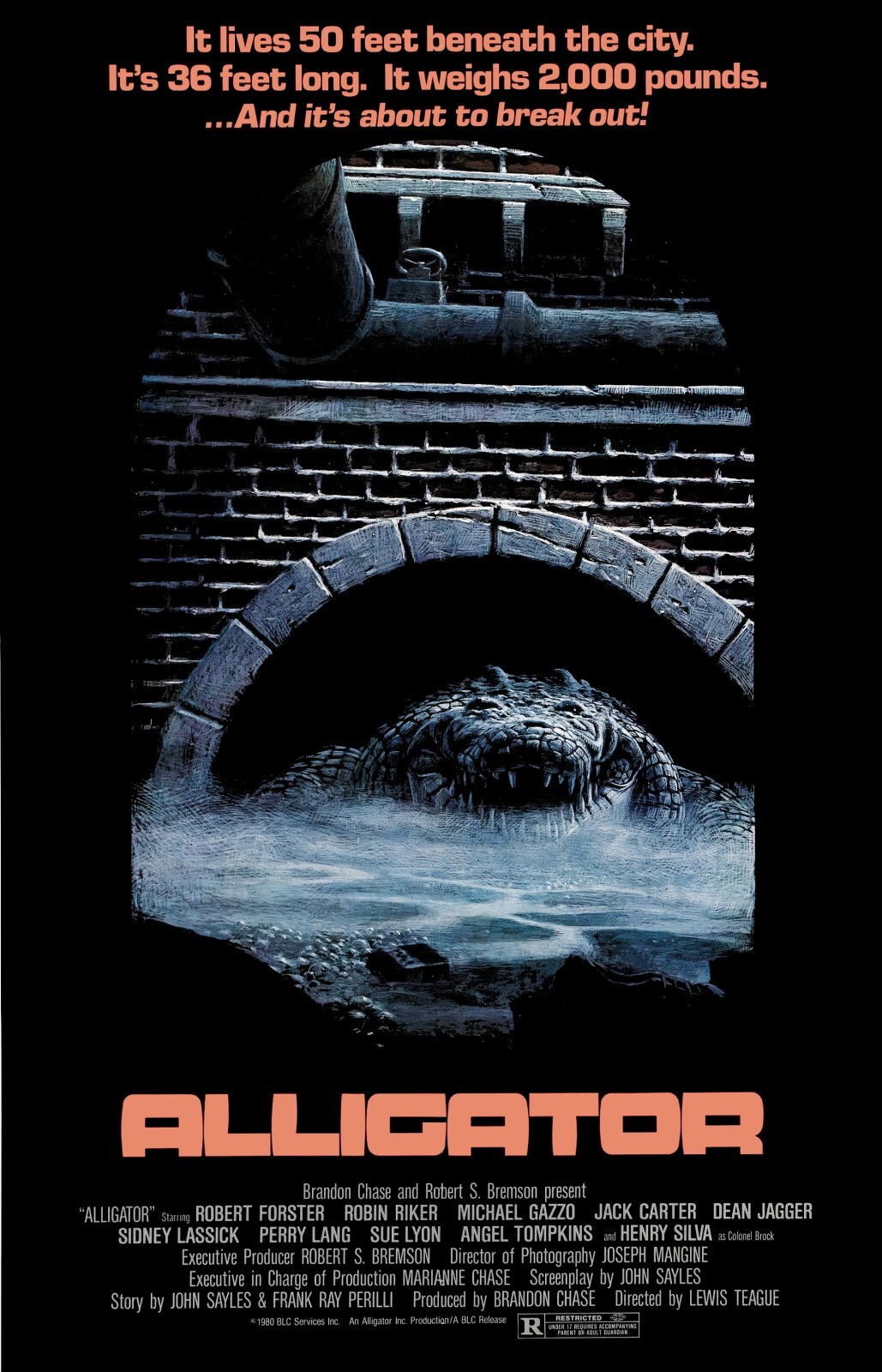 Alligator poster