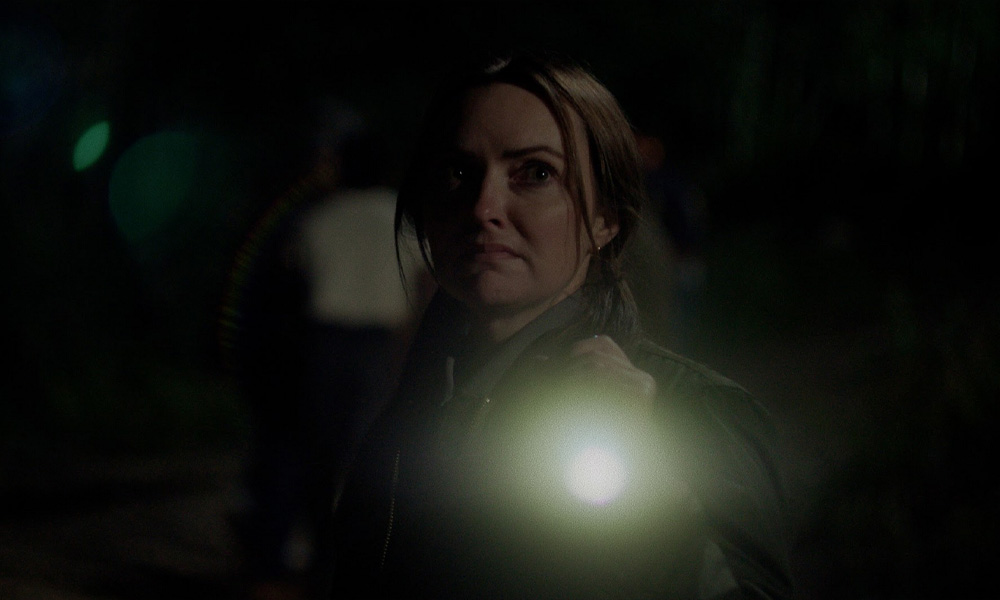 Grizzly night review cast