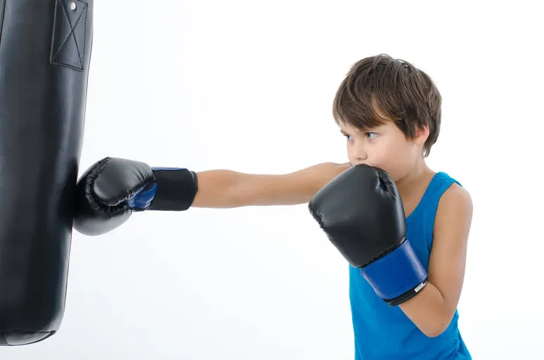 Kampfsport Kids