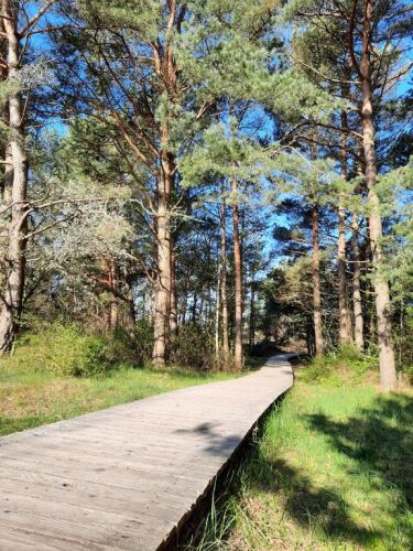 Amber Coast Premium Pajūrio Namukas