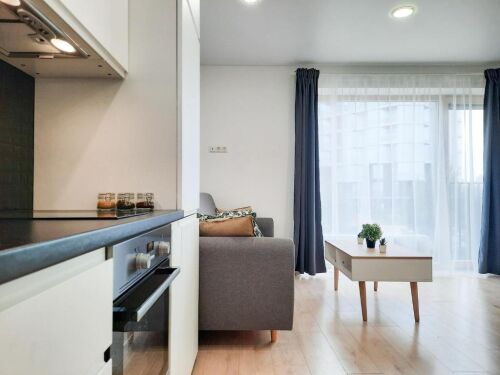 Amber Coast Premium Pajūrio Namukas