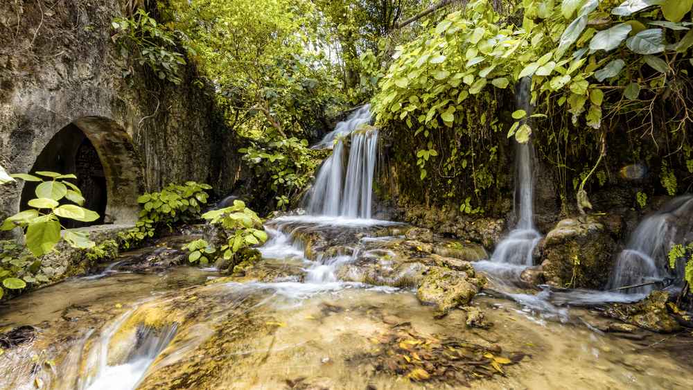 אדם וטבע