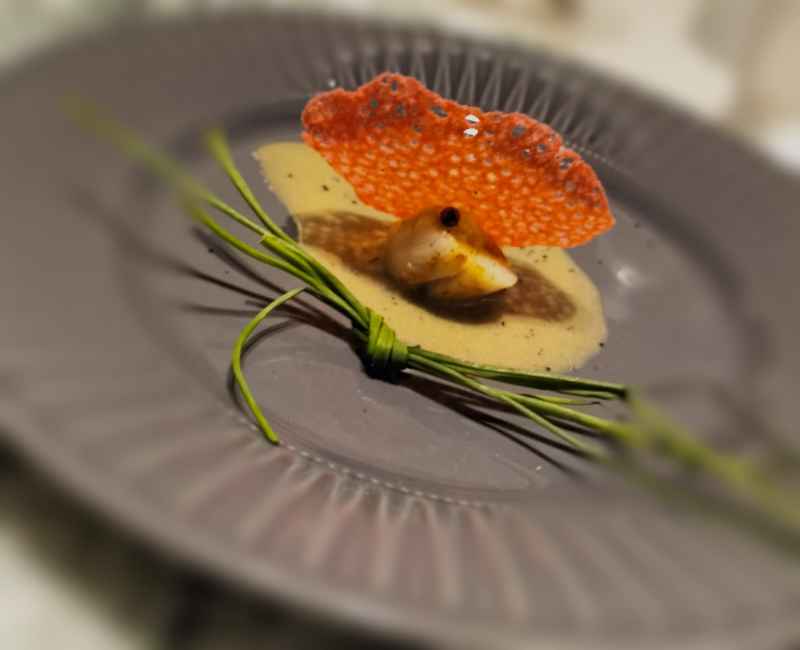 Chef Chef Alessandro