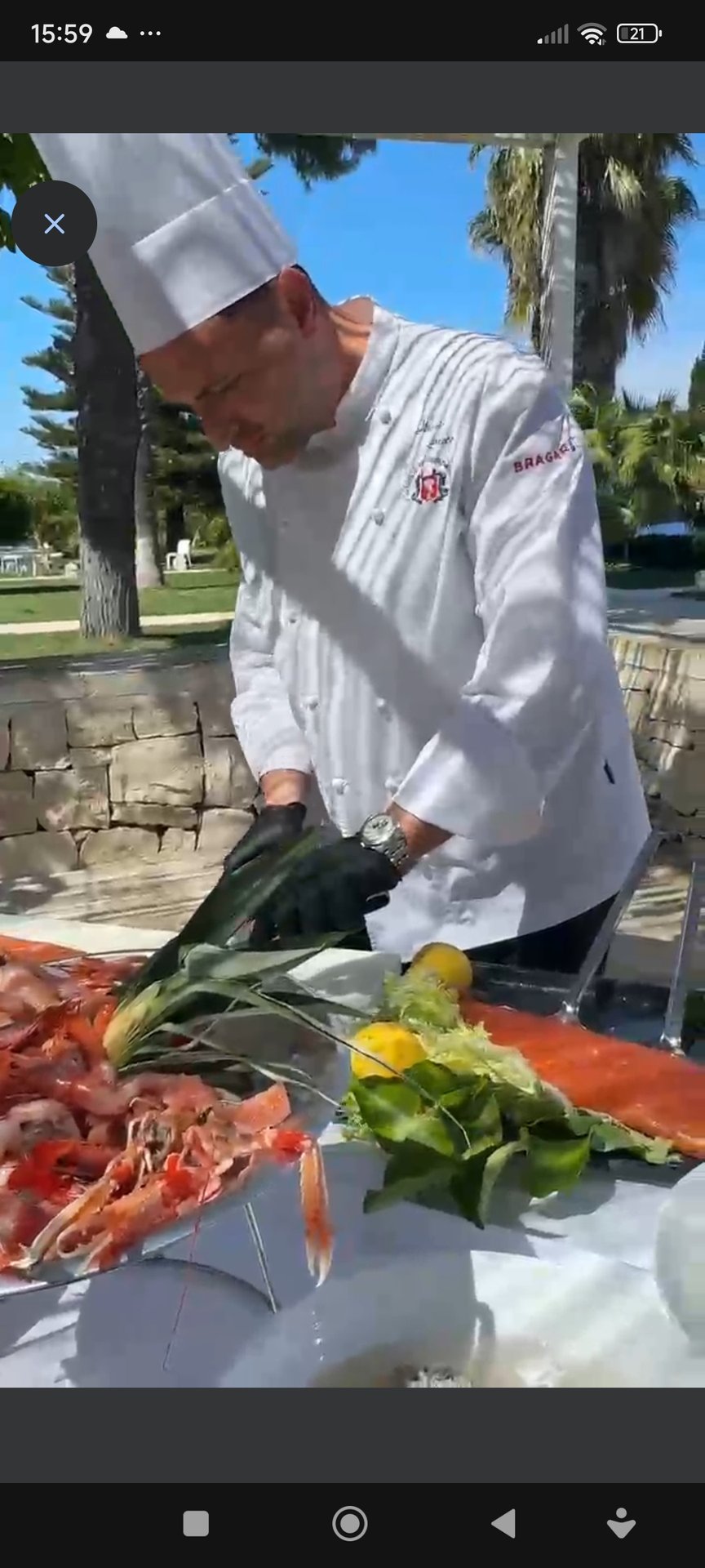 Chef Chef Alessio