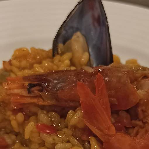 Chef Chef Amado