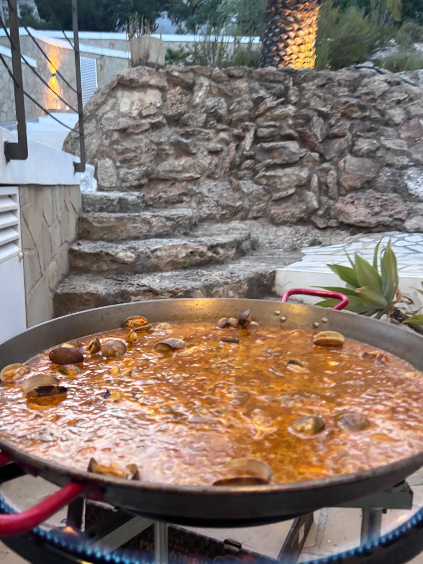 Chef Chef Verónica