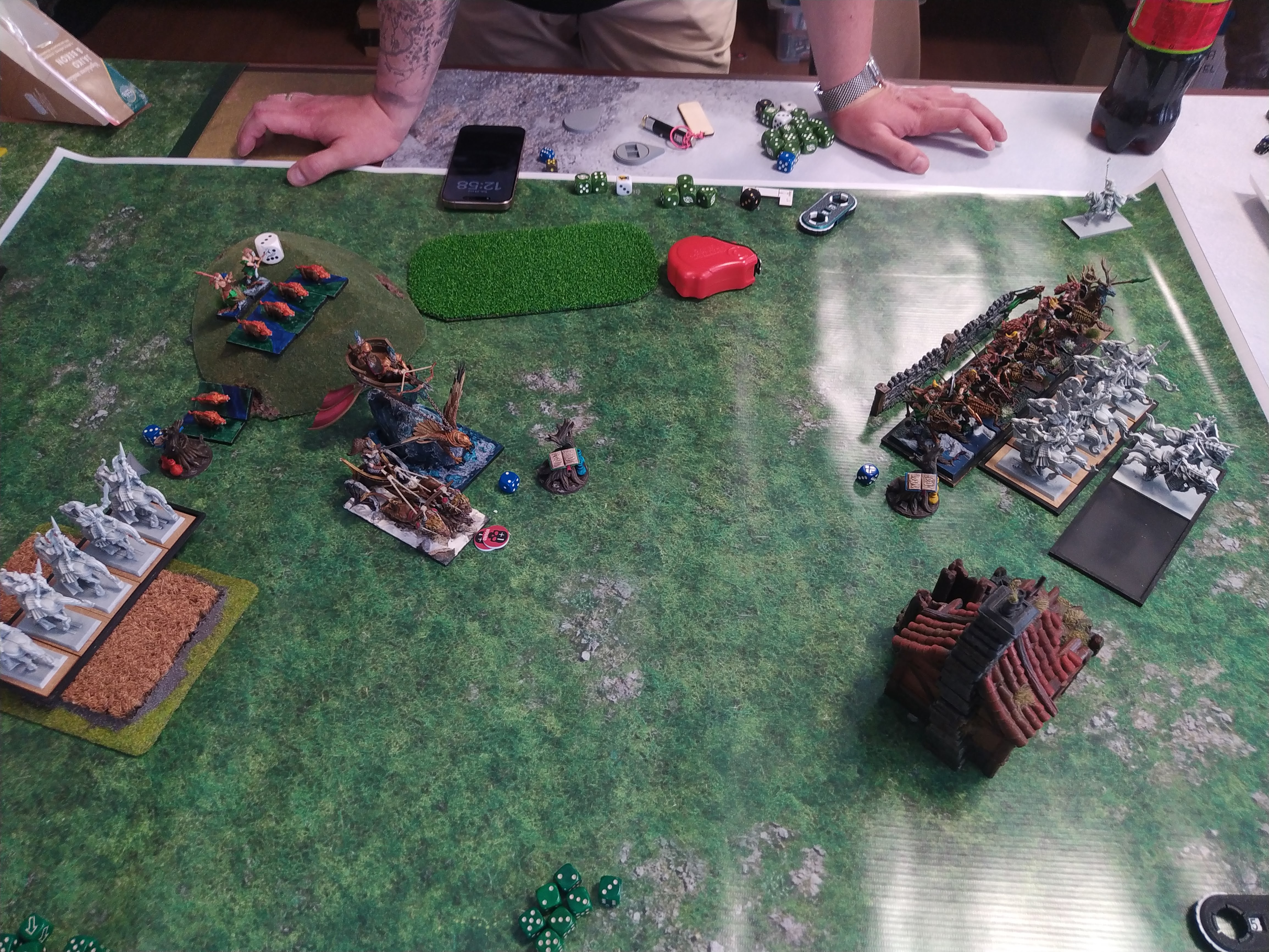 Battle summary photo: High Elf Realms vs Wood Elf Realms (Warhammer: The Old World) — High Elf Realms - Wood Elf Realms