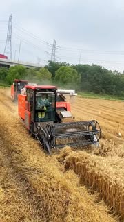Instagram Reel by @blue.chemp, published Jun 2, 2026. Kubota multicrop harvesting machine ? . . . . . . . . . . . #shorts #kubota #harvesting #agriculture #far…