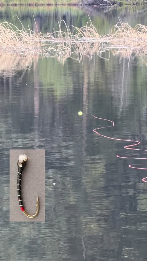 Instagram Reel by @ebifisher, published May 28, 2026. Lake days, chironomids under the indicator, and nonstop takes. Nothing beats stillwater fly fishing. ? #C…