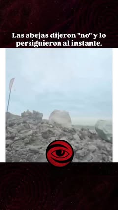 Instagram Reel by @historias_conspirativas, published Jan 31, 2026. La publicación presenta un hilarante clip de 15 segundos en el que un hombre nota un grupo…