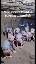 Instagram Reel by @ufofilespentagon, published May 28, 2026. New species found in caves in China… and people say they look similar to humans ?? A viral post sp…