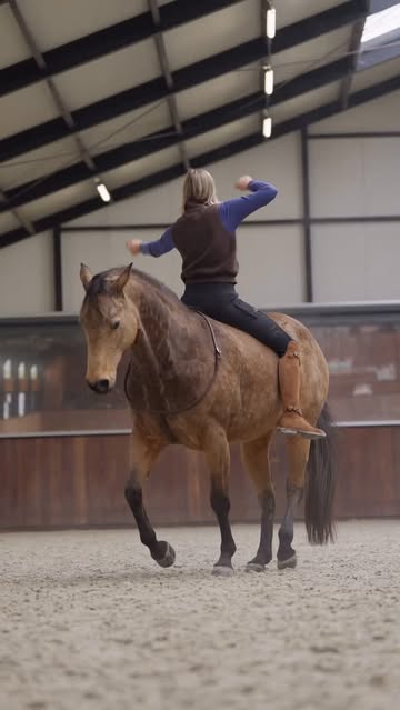 Instagram Reel by @featherlighthorsemanship, published Apr 11, 2026. Mellow got some dance moves!???? After launching the docu yesterday, I am giving away a bi…
