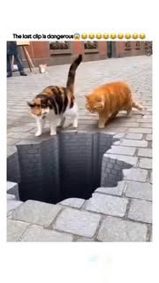 Instagram Reel by @bizv.erse, published Apr 14, 2026. The post shares a 67-second viral compilation of cats and pets comically reacting to hyper-realistic 3D f…