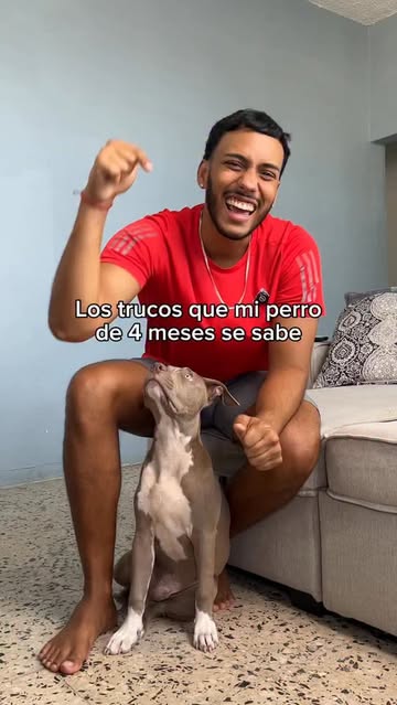 Instagram Reel by @justindetres, published May 13, 2026. Todos los trucos que @thor_elpitbul se sabe! #dog #perro #trainer #entrenador #puppy