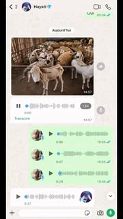 Instagram Reel by @leila_et_anouar, published May 26, 2026. Blague du mouton de l’aïd à ma femme ?? #viral #funnyvideos #comedy #fyp #aid