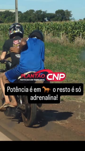 Instagram Reel by @plantaocnp, published Jun 4, 2026. Tangará não é para os fracos! Olha o que um seguidor enviou para nossa equipe. Dois jovens foram flagrado…