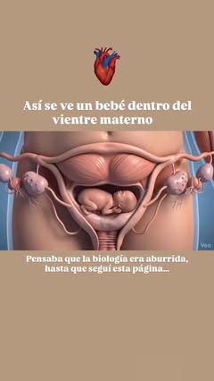 Instagram Reel by @biocuriosidadesok, published Jun 1, 2026. Dentro del cuerpo de una madre ocurre uno de los procesos más impresionantes de la biología humana…