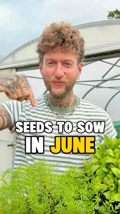 Instagram Reel by @nettlesandpetals, published Jun 3, 2026. Seeds to Sow in June - Just Keep Sowing! ??? The weather this growing season here in the UK has bee…