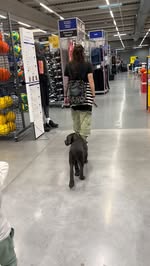 Instagram Reel by @miriam___roma, published Apr 14, 2026. Nivel 1 desbloqueado: ¡Primera vez en Decathlon! ?? Mucha gente ve un cachorro en una tienda y piensa…